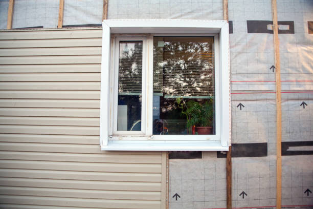 Best Custom Siding Design  in Brodhead, WI