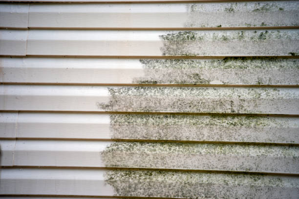 Siding for Multi-Family Homes in Brodhead, WI