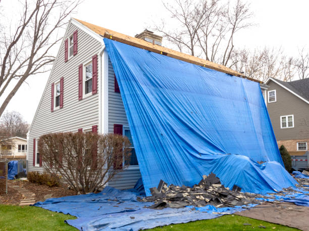 Best Wood Siding Installation  in Brodhead, WI