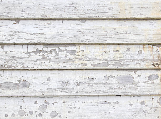 Best Historical Building Siding Restoration  in Brodhead, WI